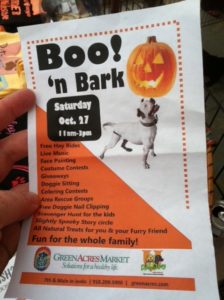 Rescue Dogs Halloween Event