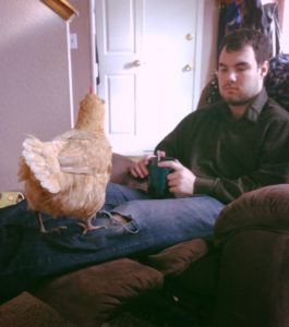 Boy and chicken