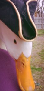 Hat on a duck
