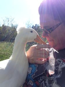 A sunny day with Jimmy the Duck - no elephants in sight