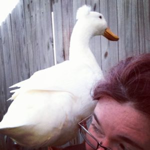 Duck on my shoulder makes me happy