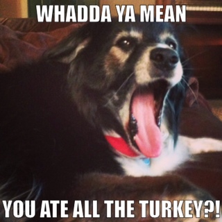 Where's the turkey?!