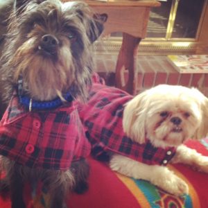 Matching lumberjack jackets for first day of fall