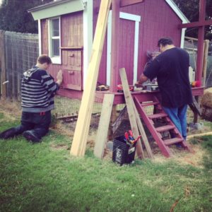 Reinforcing the chicken coop