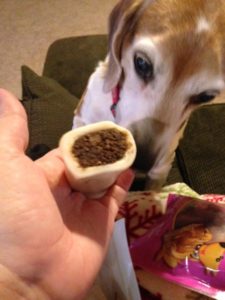 A Beagle and a stuffed bone