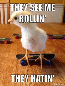 Don't your chicks skateboard?
