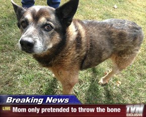 Breaking news - mom only pretended to throw the ball