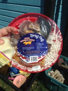 Spring Fling - a flying disk full of yummy dog treats!