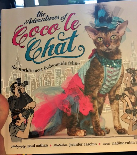Coco le Chat book review