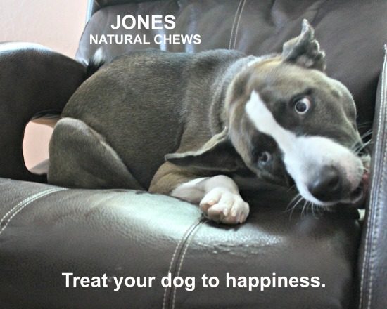 Bully Basted Ch'Earz from Jones Natural Chews - Treat your dog to happiness
