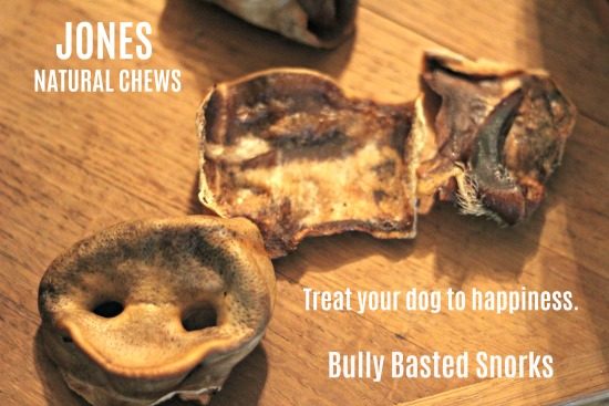Bully Basted Snorks - the latest treats from Jones Natural Chews